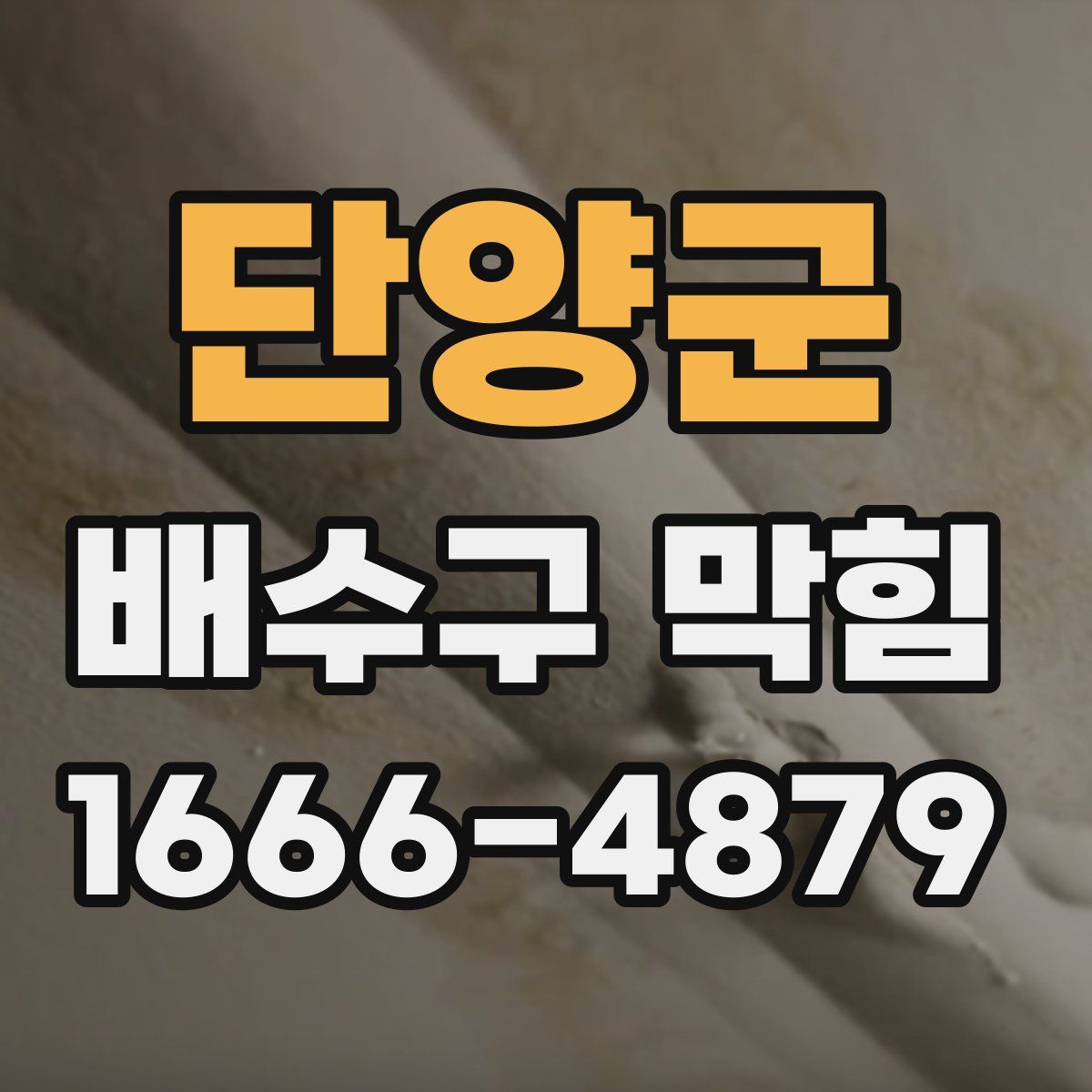 단양군 배수구 막힘
