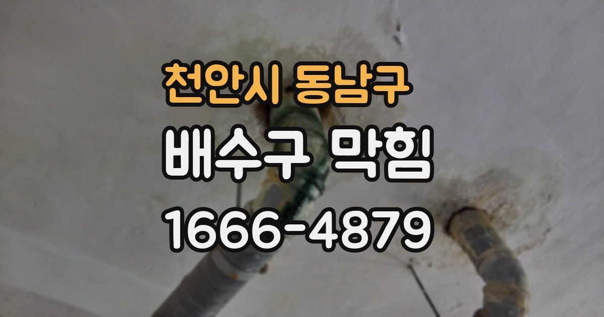 천안시 동남구 배수구 막힘