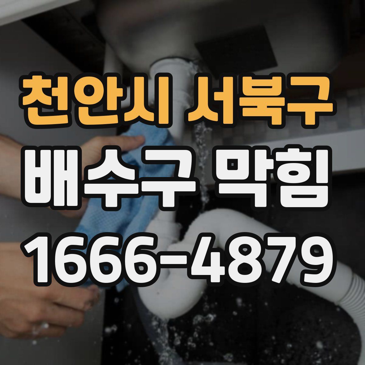 천안시 서북구 배수구 막힘
