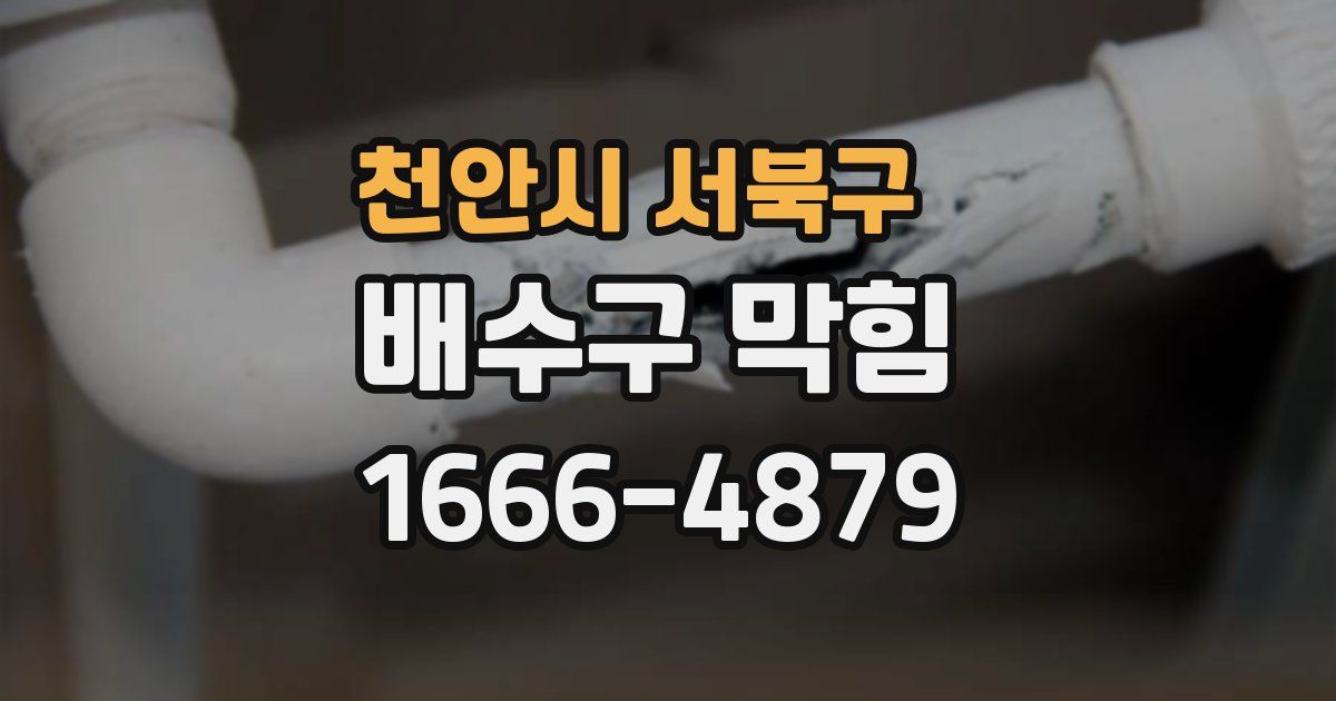천안시 서북구 배수구 막힘