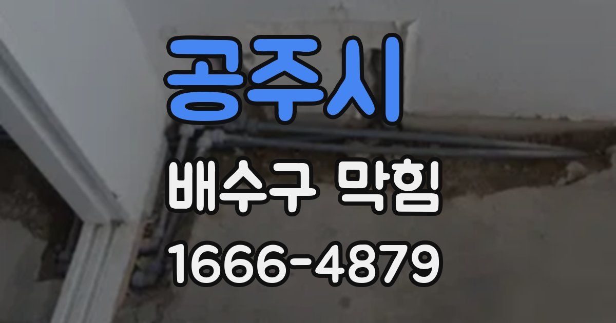 공주시 배수구 막힘