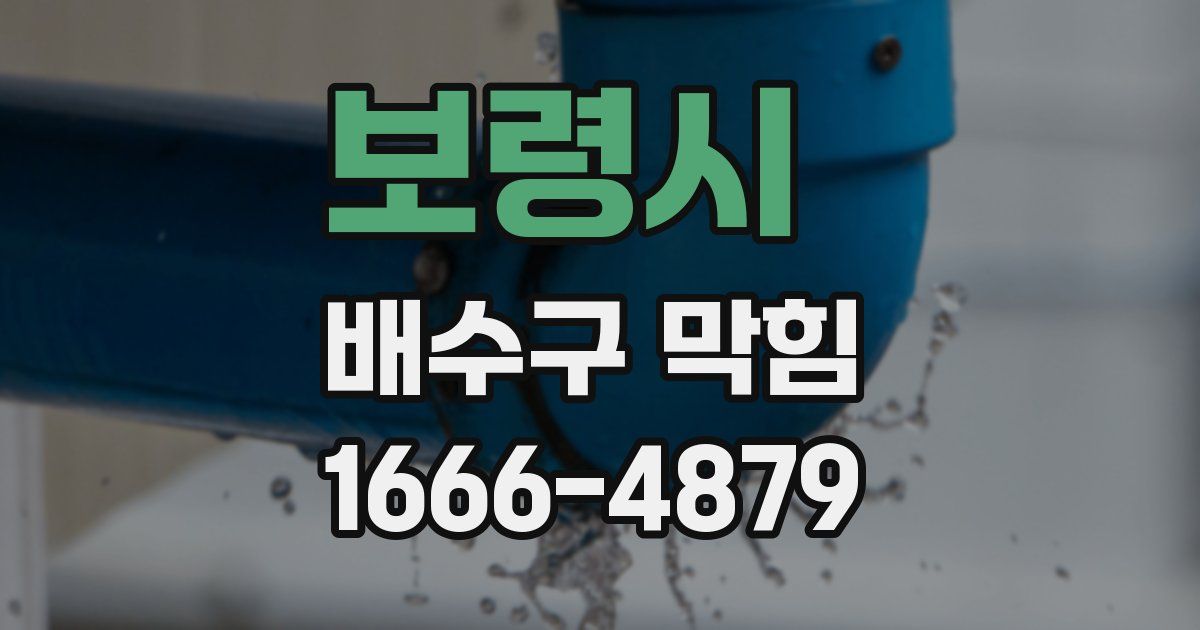 보령시 배수구 막힘