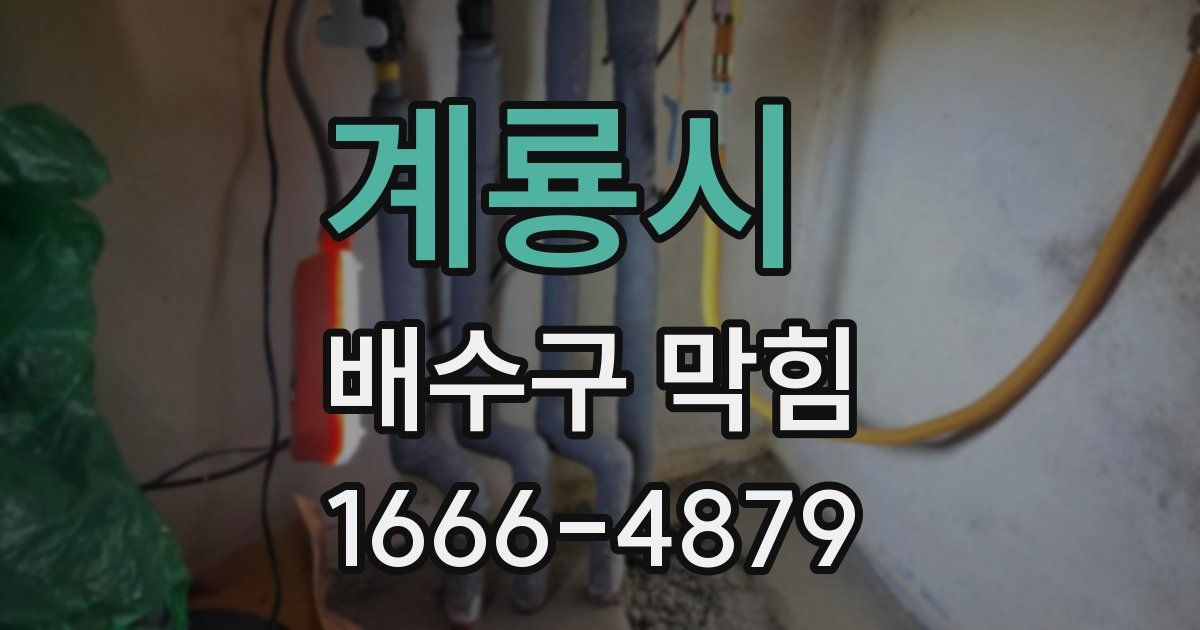 계룡시 배수구 막힘