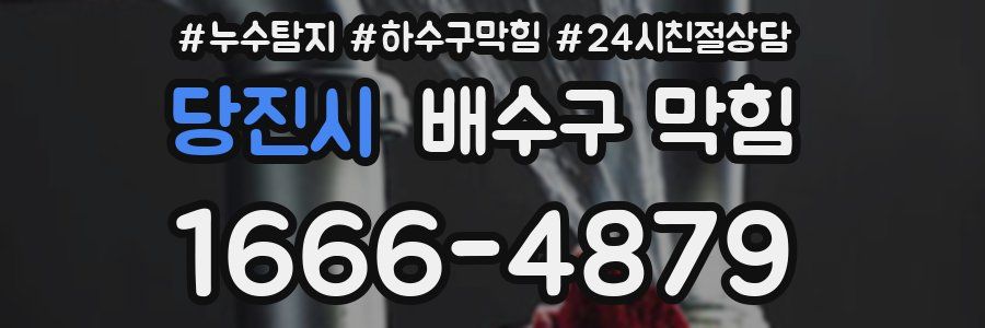 당진시 배수구 막힘