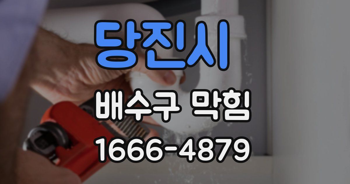 당진시 배수구 막힘