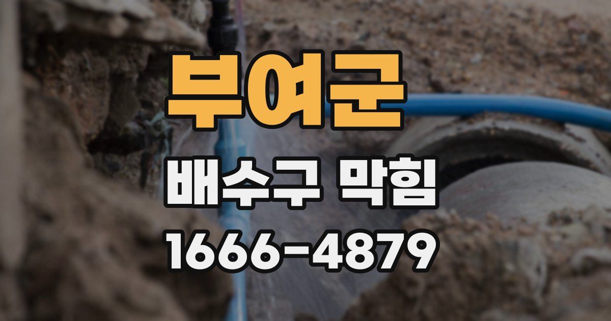 부여군 배수구 막힘