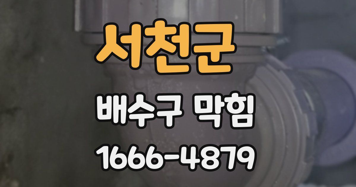 서천군 배수구 막힘