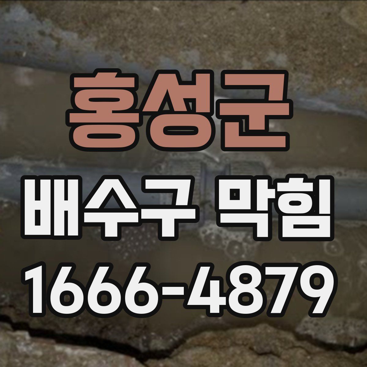 홍성군 배수구 막힘