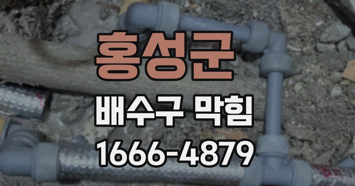 홍성군 배수구 막힘