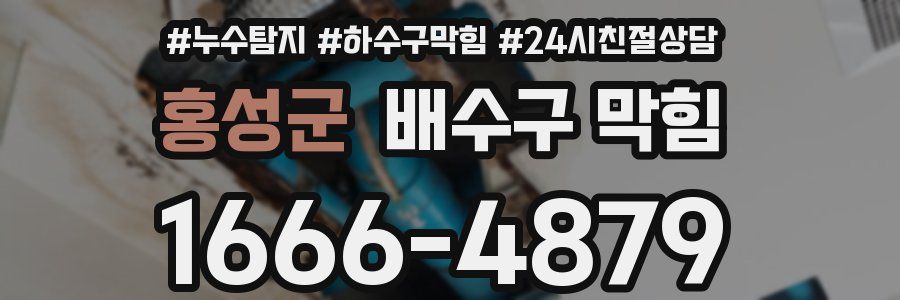 홍성군 배수구 막힘