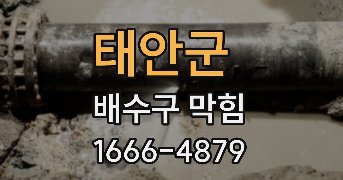 태안군 배수구 막힘