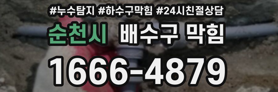 순천시 배수구 막힘