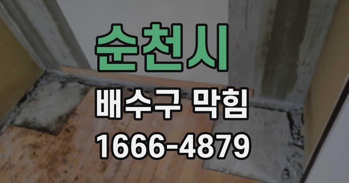 순천시 배수구 막힘