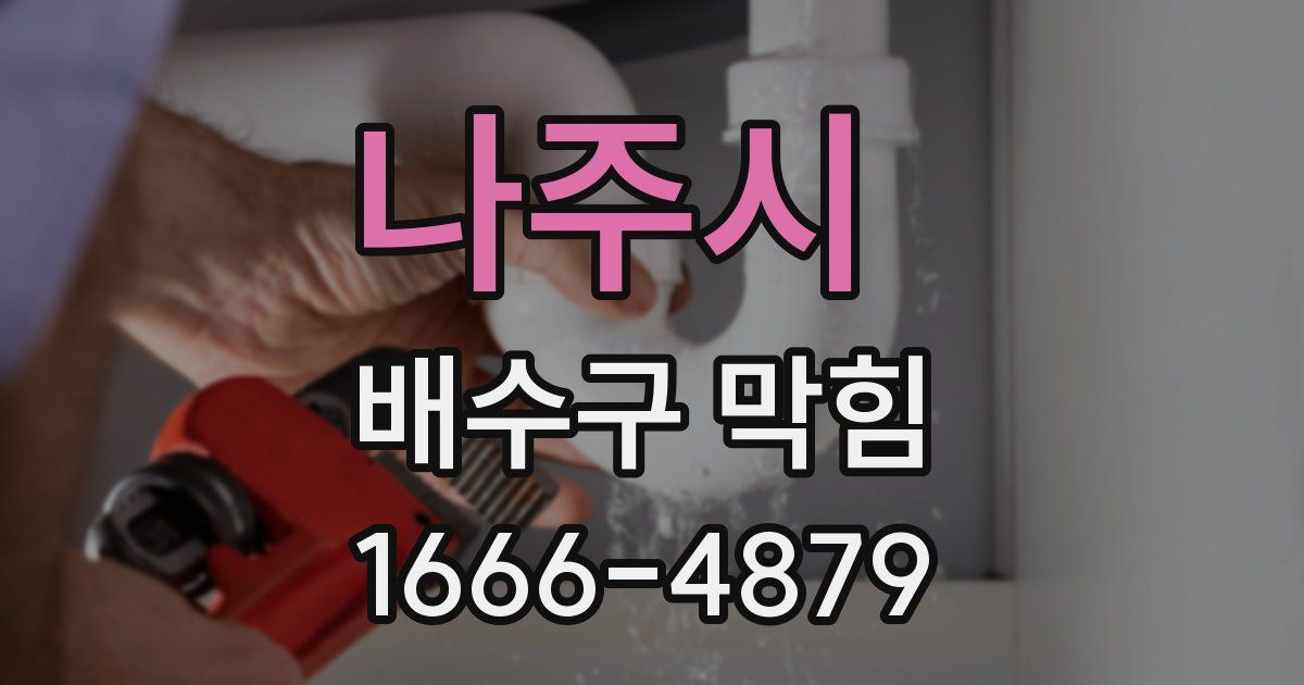 나주시 배수구 막힘