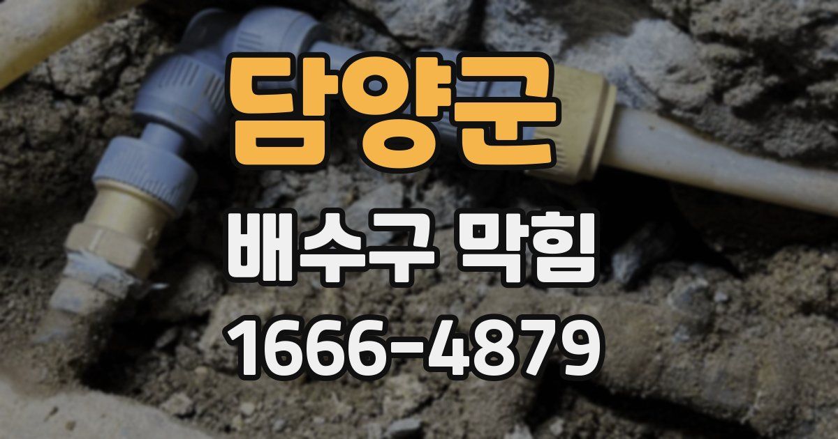 담양군 배수구 막힘
