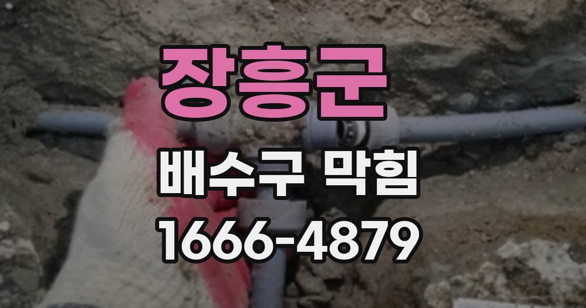 장흥군 배수구 막힘
