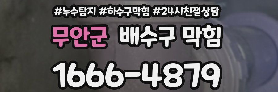 무안군 배수구 막힘