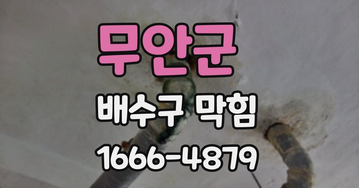 무안군 배수구 막힘