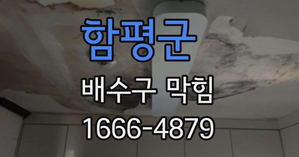 함평군 배수구 막힘