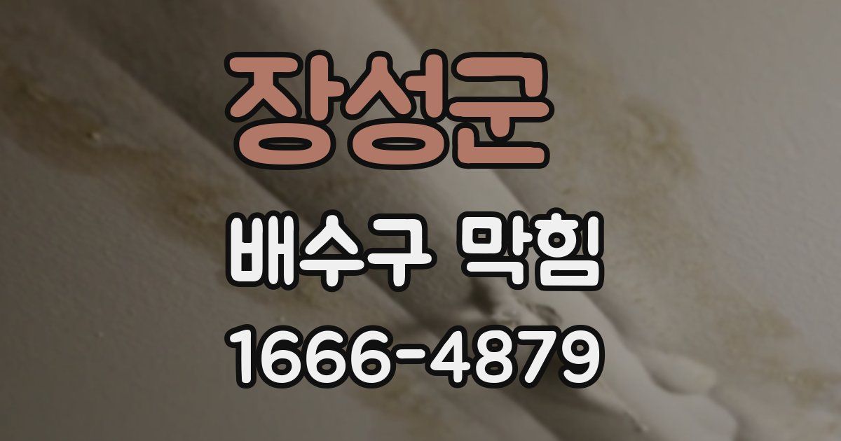 장성군 배수구 막힘