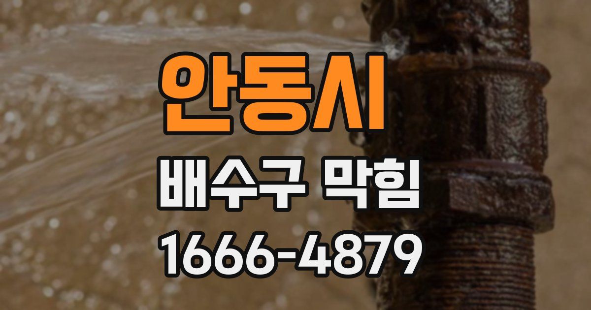 안동시 배수구 막힘