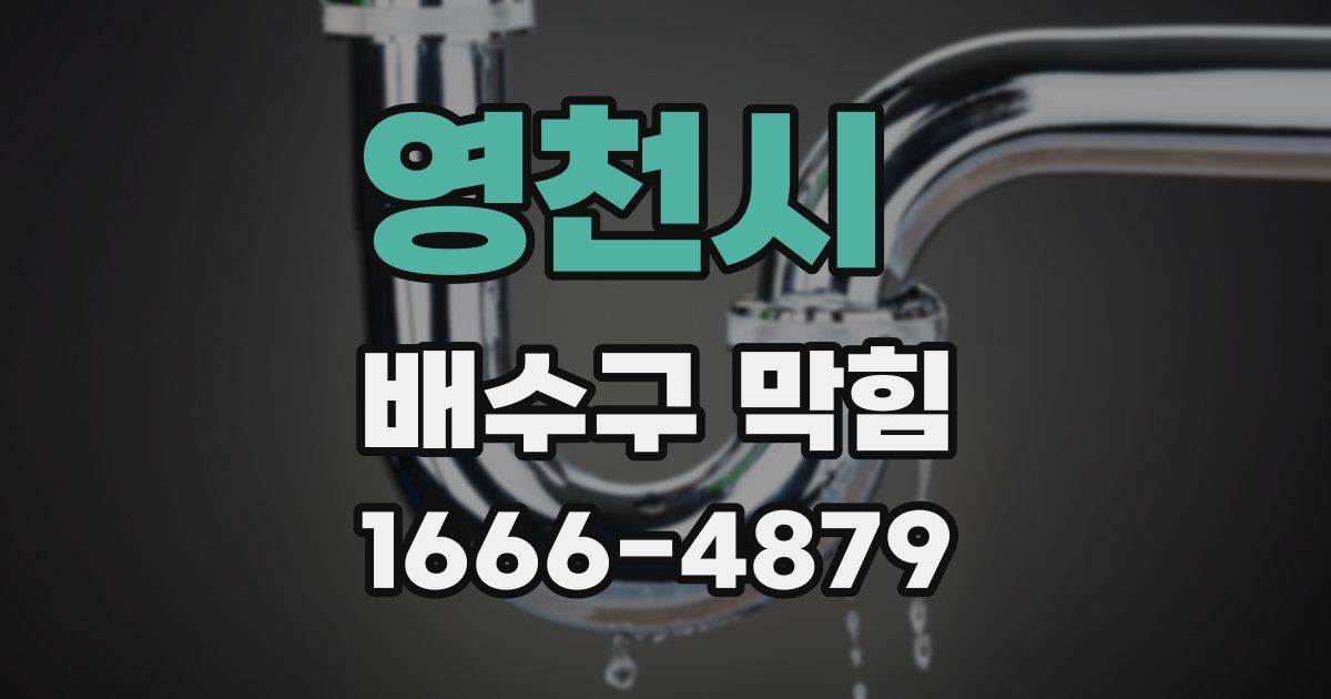영천시 배수구 막힘