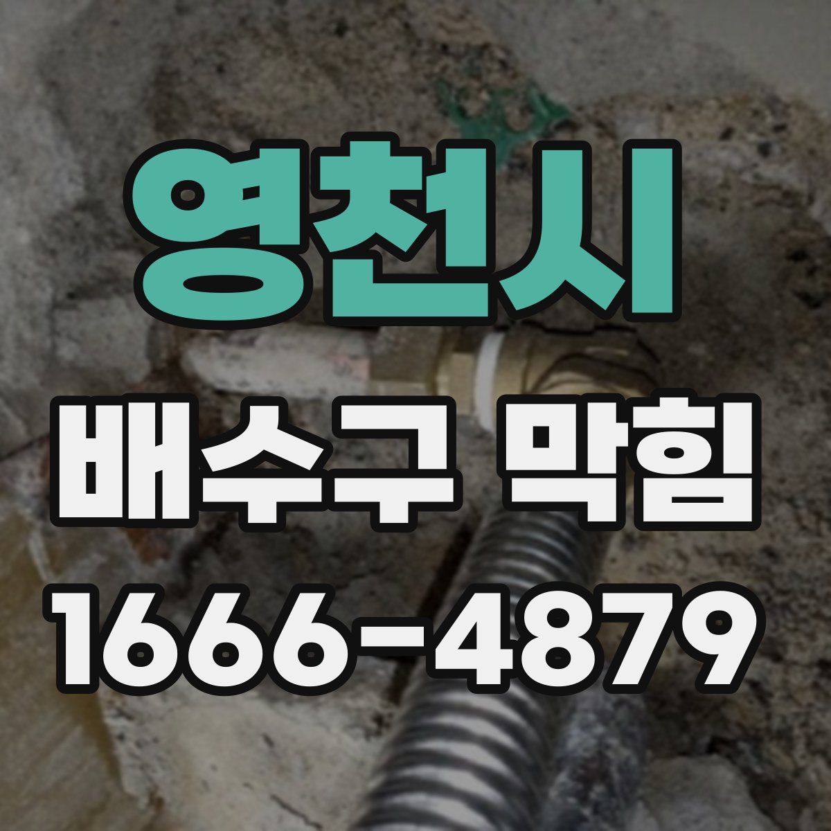 영천시 배수구 막힘