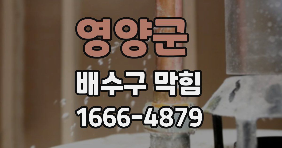영양군 배수구 막힘