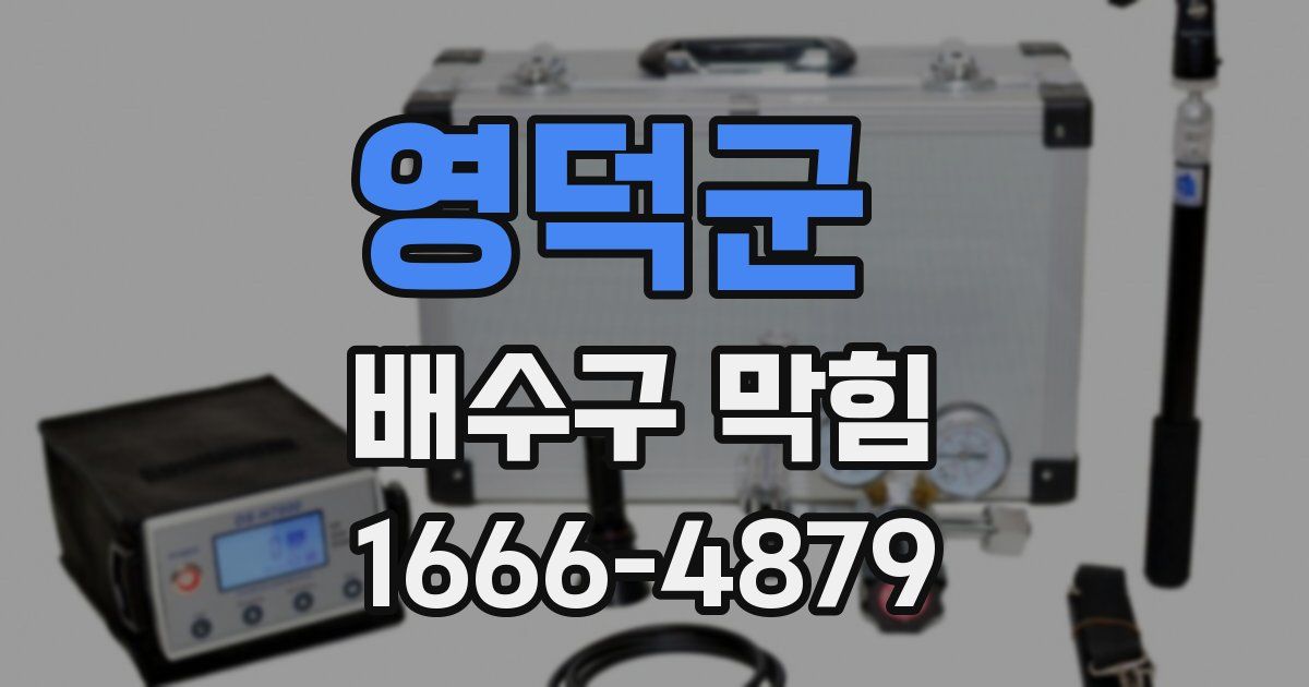 영덕군 배수구 막힘