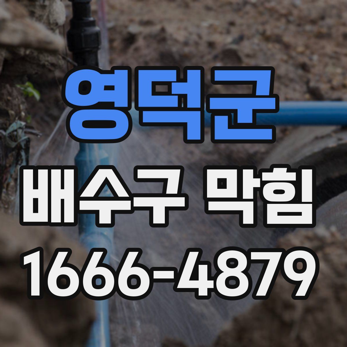 영덕군 배수구 막힘