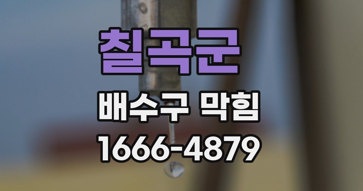 칠곡군 배수구 막힘
