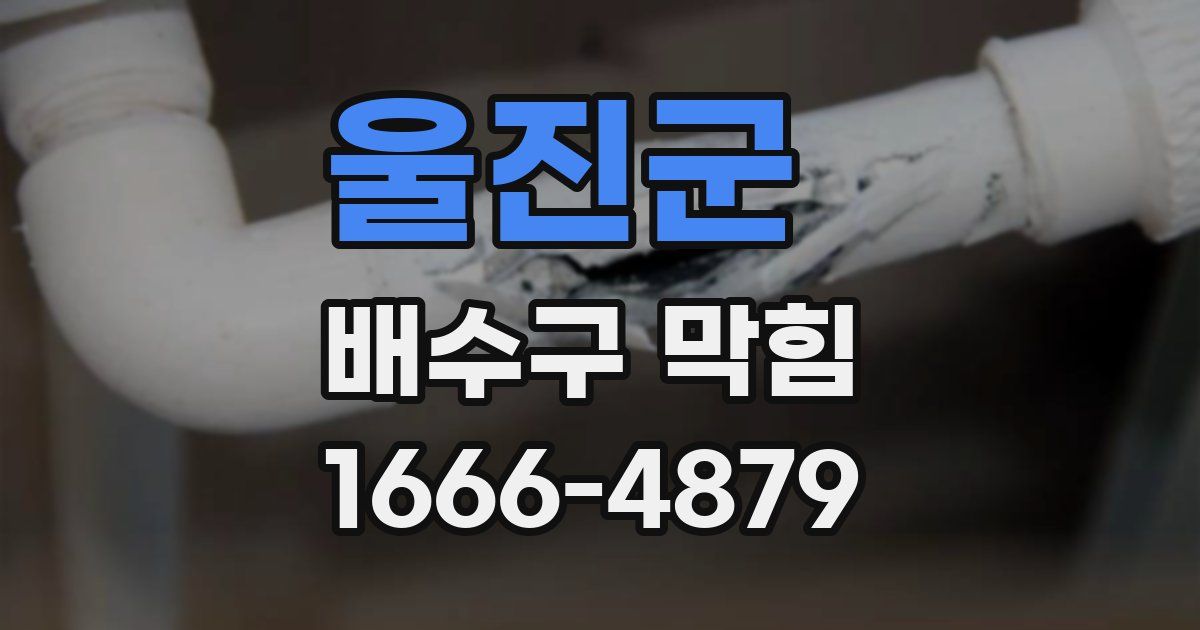 울진군 배수구 막힘