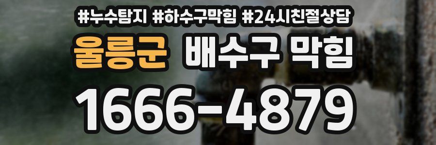 울릉군 배수구 막힘