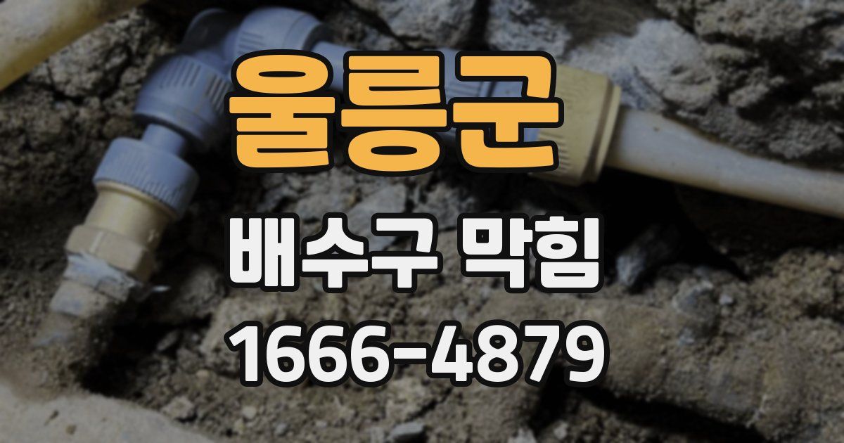울릉군 배수구 막힘
