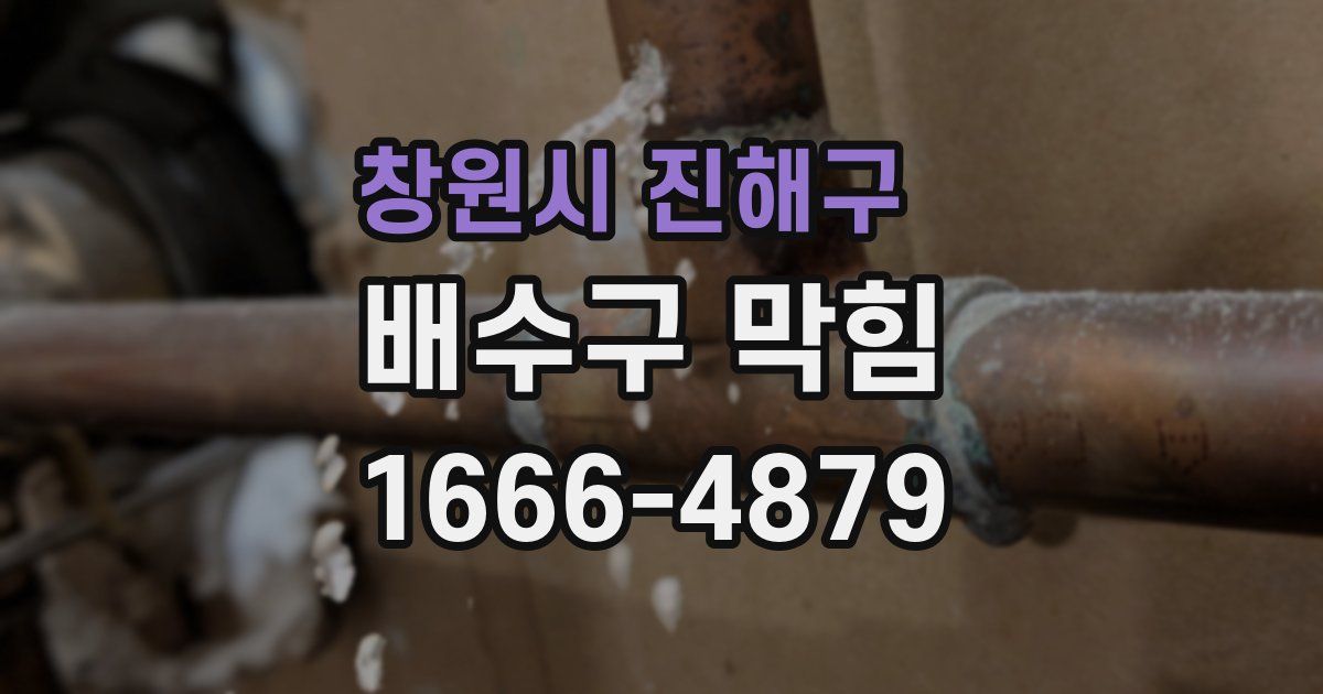 창원시 진해구 배수구 막힘