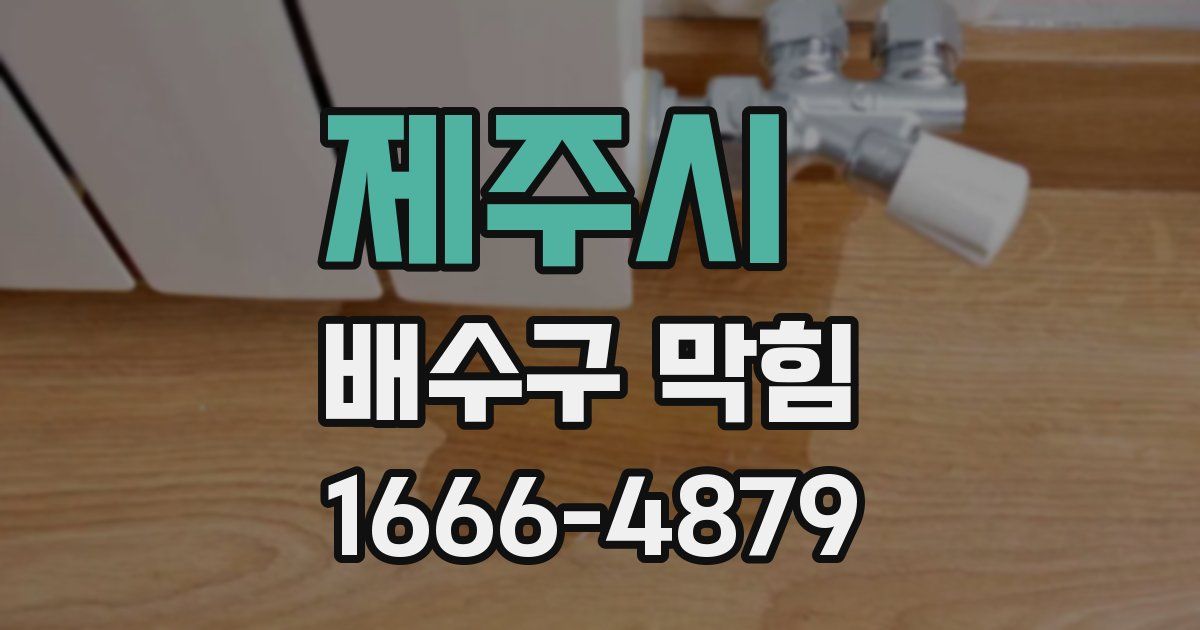 제주시 배수구 막힘