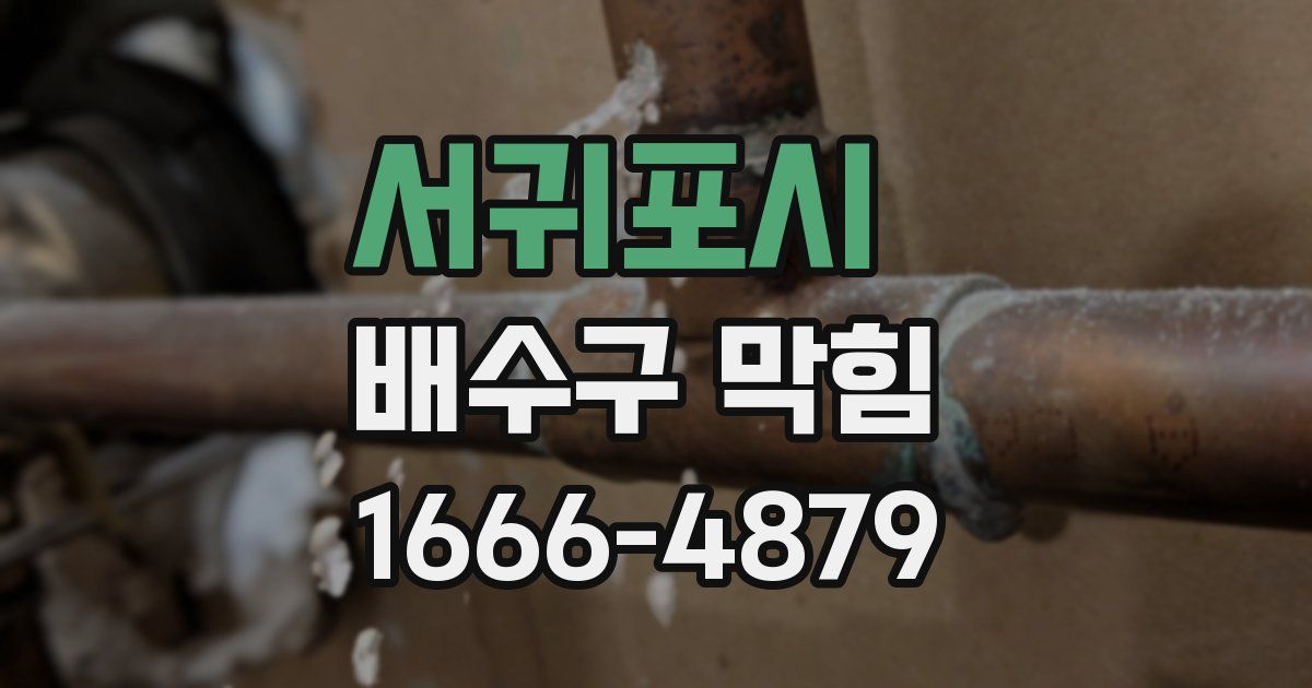 서귀포시 배수구 막힘