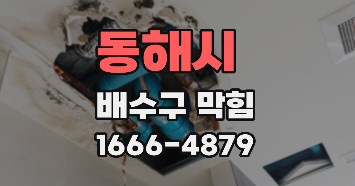 동해시 배수구 막힘