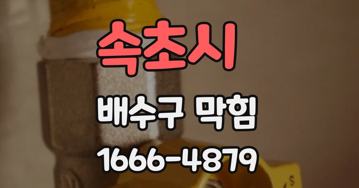 속초시 배수구 막힘