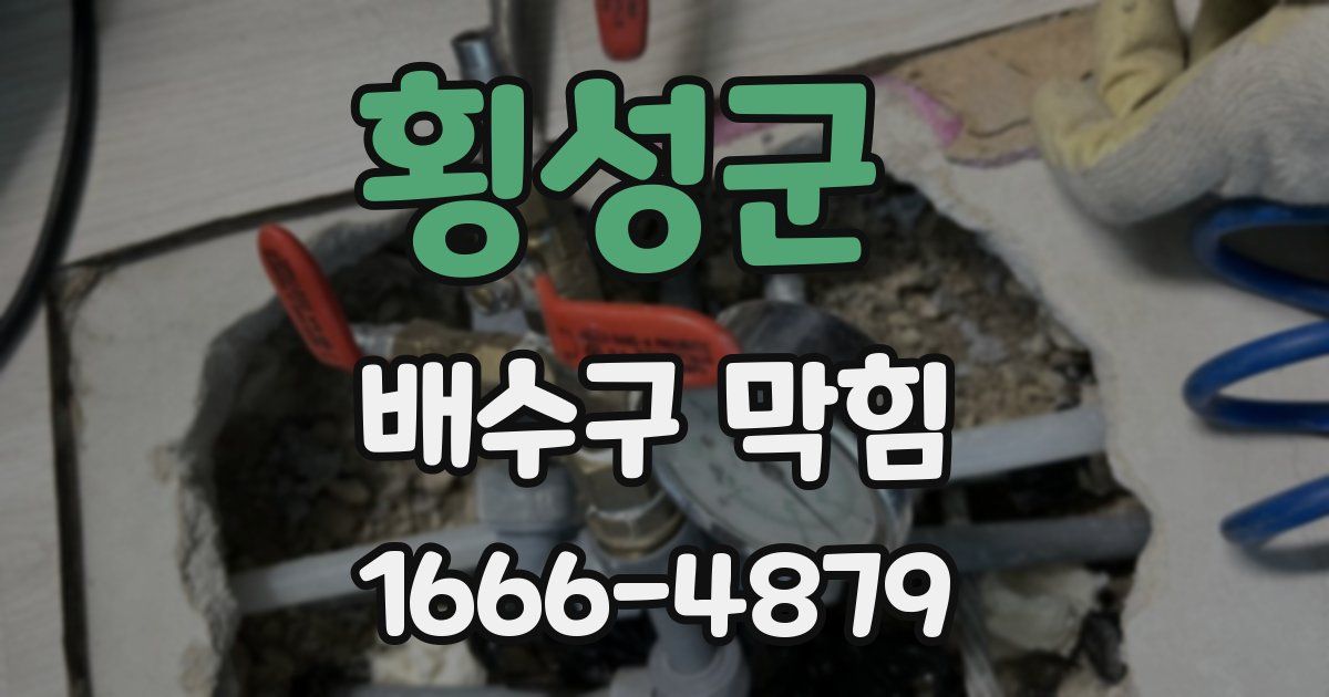 횡성군 배수구 막힘