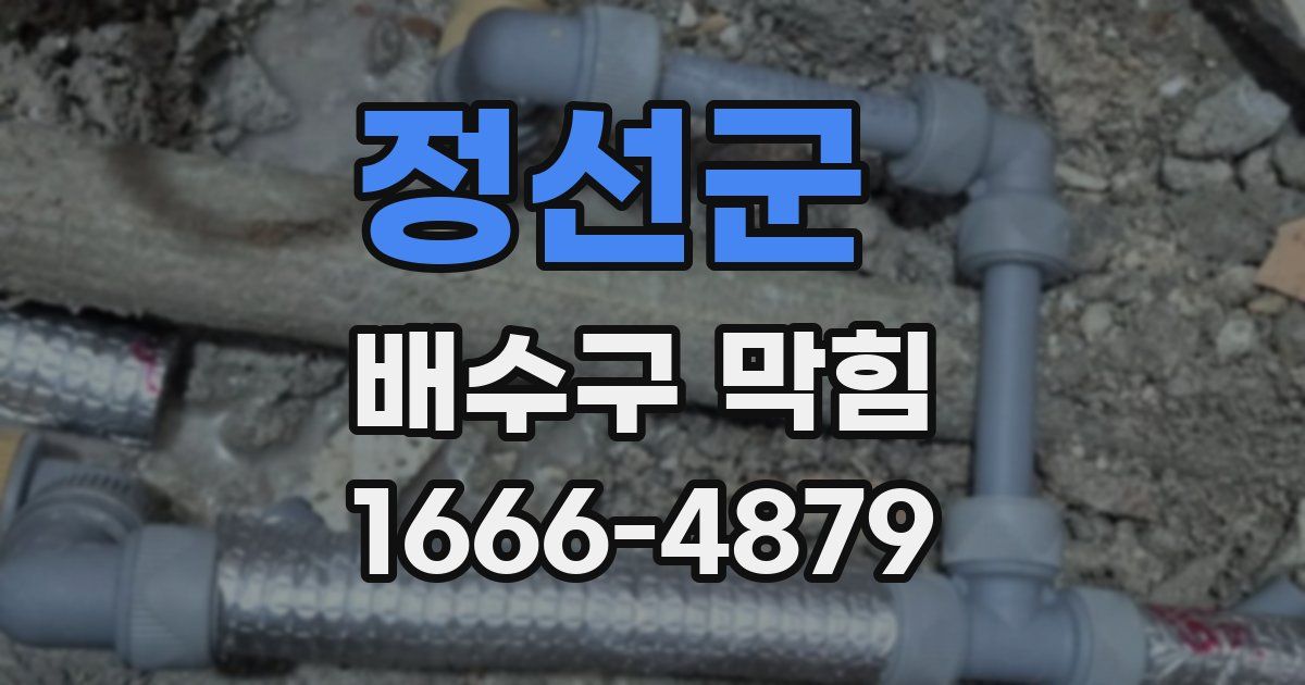 정선군 배수구 막힘