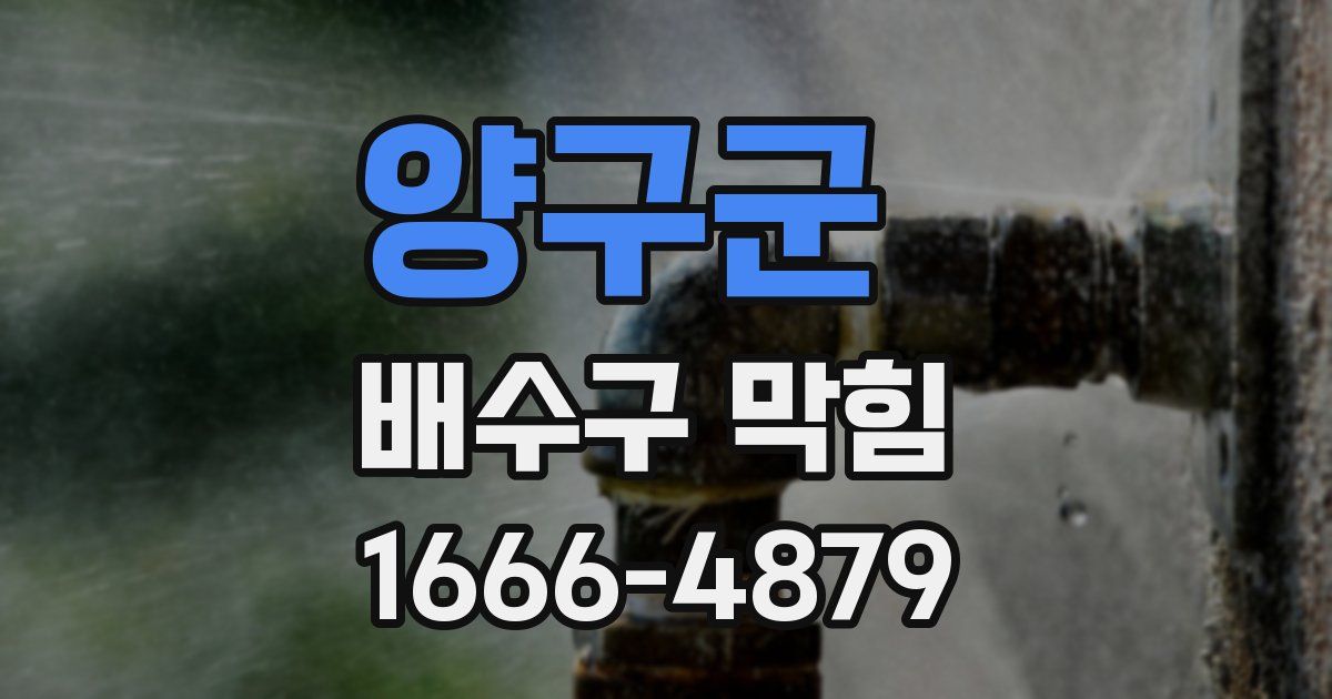양구군 배수구 막힘