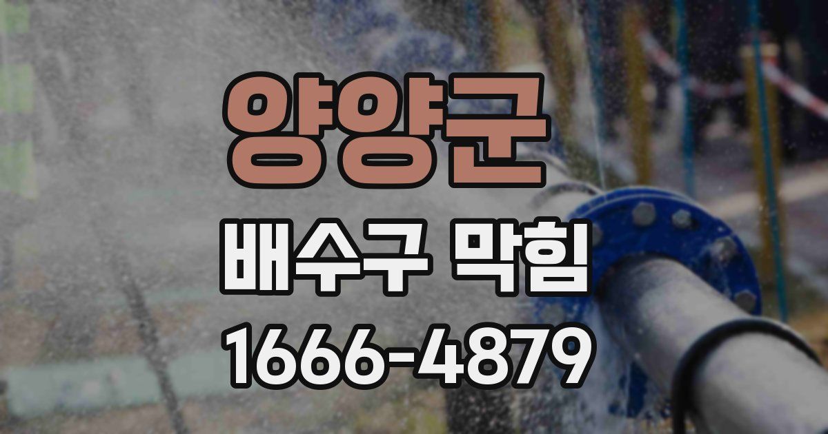 양양군 배수구 막힘