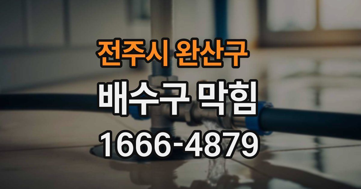 전주시 완산구 배수구 막힘