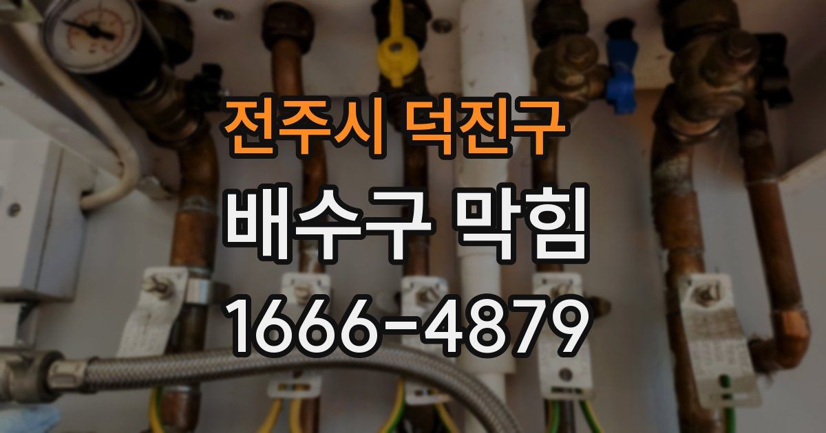 전주시 덕진구 배수구 막힘