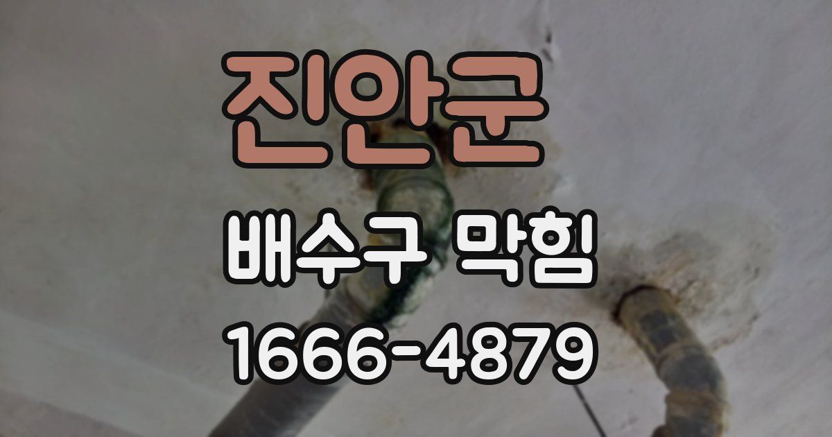 진안군 배수구 막힘