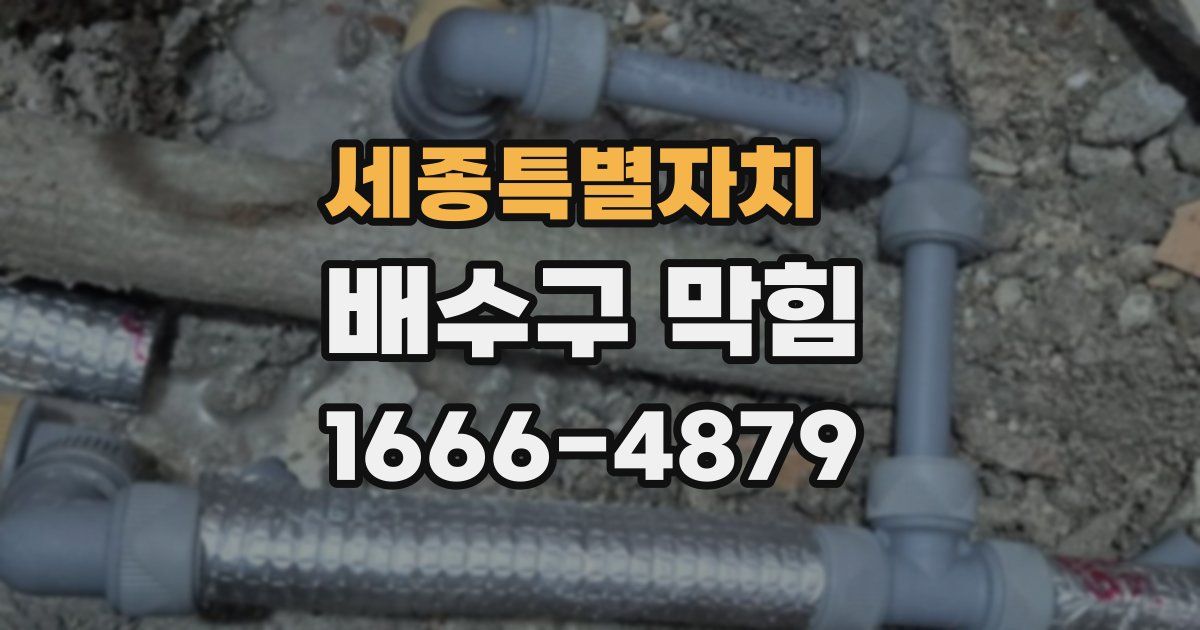 세종특별자치 배수구 막힘