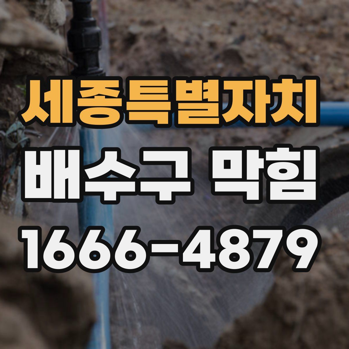 세종특별자치 배수구 막힘