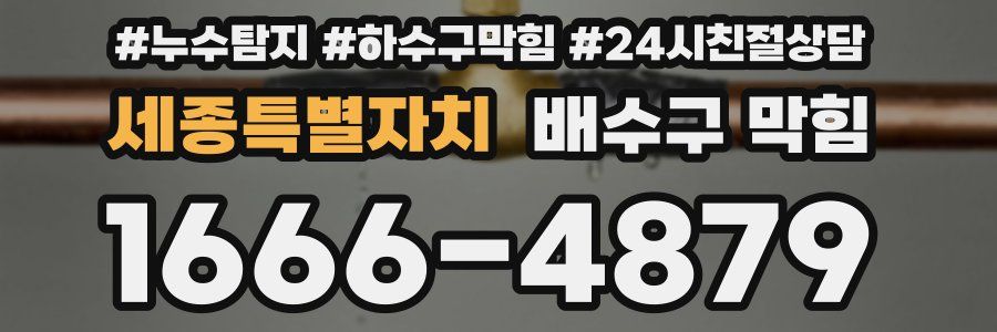세종특별자치 배수구 막힘