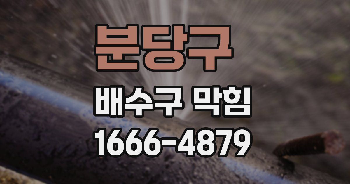 분당구 배수구 막힘
